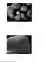 Fig. 06 - High voltage tantalum anode and method of manufacture