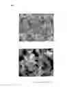 Fig. 09 - Activated carbon for use in electrode of power-storage device, and method for producing same