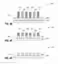 Fig. 09 - Method for increasing pattern density in self-aligned patterning integration schemes