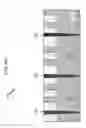 Fig. 25 - Formation of isolation surrounding well implantation