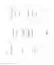 Fig. 02 - Authorization token cache system and method
