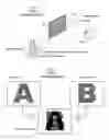 Fig. 02 - Multi-view displays