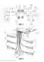 Fig. 02 - Power splitter for a variable number of loads and power splitting method