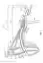 Fig. 02 - Variable-sized occupant support