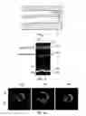 Fig. 02 - Intravascular optical imaging system