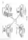 Fig. 49 - TABLET ULTRASOUND SYSTEM