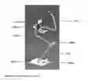 Fig. 03 - ACTIVE ORTHOSIS FOR SURGEONS