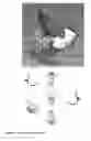 Fig. 10 - ACTIVE ORTHOSIS FOR SURGEONS