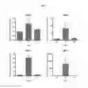 Fig. 02 - Composition for inhibiting human cytomegalovirus replication