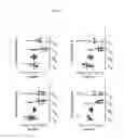Fig. 09 - A SINGLE OR MULTISTAGE MYCOBACTERIUM AVIUM SUBSP. PARATUBERCULOSIS SUBUNIT VACCINE