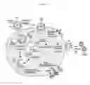 Fig. 02 - Influenza virus mutants and uses therefor