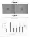 Fig. 02 - Reduction of flake-like aggregation in nanoparticulate active agent compositions