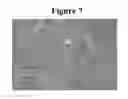 Fig. 06 - Reduction of flake-like aggregation in nanoparticulate active agent compositions