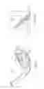 Fig. 12 - Wedge type golf club head