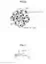 Fig. 07 - CATALYST MATERIAL FOR EXHAUST GAS PURIFICATION AND METHOD FOR PRODUCING SAME