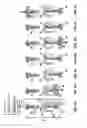 Fig. 03 - Press for making a cutting tool green body having a helical flute, and method for making a cutting tool green body having a helical flute