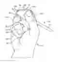 Fig. 01 - Pen/Pencil Grip