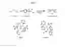Fig. 08 - DIRECT B-ARYLATION OF CARBONYL COMPOUNDS