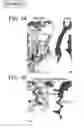 Fig. 02 - Multivalent RAS binding compounds