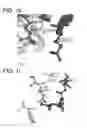Fig. 07 - Multivalent RAS binding compounds