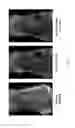 Fig. 31 - Activatable fluorogenic compounds and uses thereof as near infrared probes