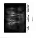 Fig. 33 - Activatable fluorogenic compounds and uses thereof as near infrared probes