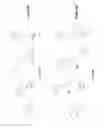 Fig. 41 - Activatable fluorogenic compounds and uses thereof as near infrared probes