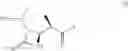 Fig. 07 - Beta lactams as modulators of glutamate uptake and methods for use thereof