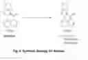 Fig. 10 - Composition and methods for the treatment of CaMKK2-mediated disorders