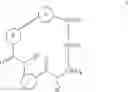 Fig. 07 - Macrocyclic compounds as IRAK1/4 inhibitors and uses thereof