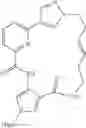 Fig. 44 - Macrocyclic compounds as IRAK1/4 inhibitors and uses thereof