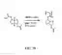 Fig. 40 - Isosorbide-based polymethacrylates
