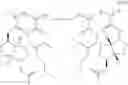 Fig. 43 - Isosorbide-based polymethacrylates