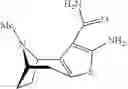 Fig. 46 - Compounds and methods for preventing or treating sensory hair cell death