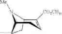 Fig. 56 - Compounds and methods for preventing or treating sensory hair cell death