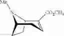 Fig. 57 - Compounds and methods for preventing or treating sensory hair cell death