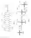 Fig. 02 - Cyclic peptide conjugates and methods of use