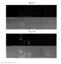 Fig. 08 - ALPHA HELIX CELL-PENETRATING PEPTIDE MULTIMER, PREPARATION METHOD THEREFOR AND USE THEREFOR