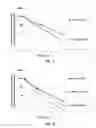 Fig. 02 - IL-8 antibodies