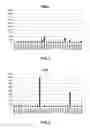Fig. 07 - IL-8 antibodies