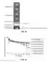 Fig. 22 - IL-8 antibodies