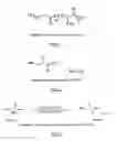 Fig. 02 - Functional biodegradable polymers