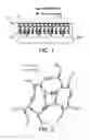 Fig. 02 - MODULAR SURFACE FUNCTIONALIZATION OF POLYISOBUTYLENE-BASED MATERIALS
