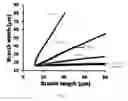 Fig. 09 - ENGINEERING THE PLANT ACTIN CYTOSKELETON TO MODULATE CELL WALL PROPERTIES