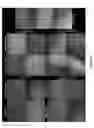 Fig. 10 - Nanoparticle-mediated gene delivery, genomic editing and ligand-targeted modification in various cell populations