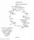 Fig. 09 - MICROORGANISMS AND METHODS FOR PRODUCING 2,4-PENTADIENOATE, BUTADIENE, PROPYLENE, 1,3-BUTANEDIOL AND RELATED ALCOHOLS