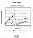 Fig. 07 - Metabolically optimized cell culture