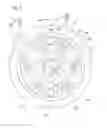 Fig. 06 - Clutch device having a back torque limiter