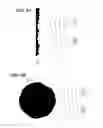 Fig. 09 - Ultrasonic sensor for displacement, vibration, linear and rotational speed and position, and fluid flow measurement