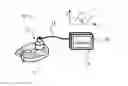 Fig. 01 - Spectroscopic characterization of seafood